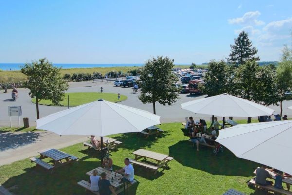 Mehrere weisse ALBATROS Grossschirme spenden Schatten für Picknicktische auf einer Grünfläche in Strandnähe, genutzt von Familien und Gruppen bei sonnigem Wetter.